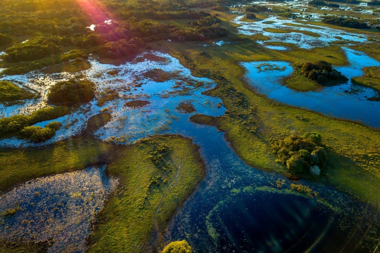 Pantanal brasileiro