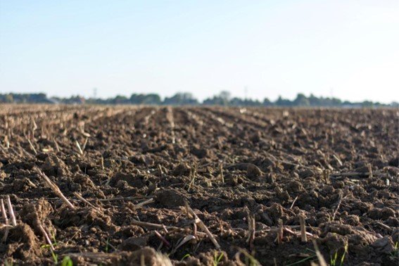 Soluções agroflorestais