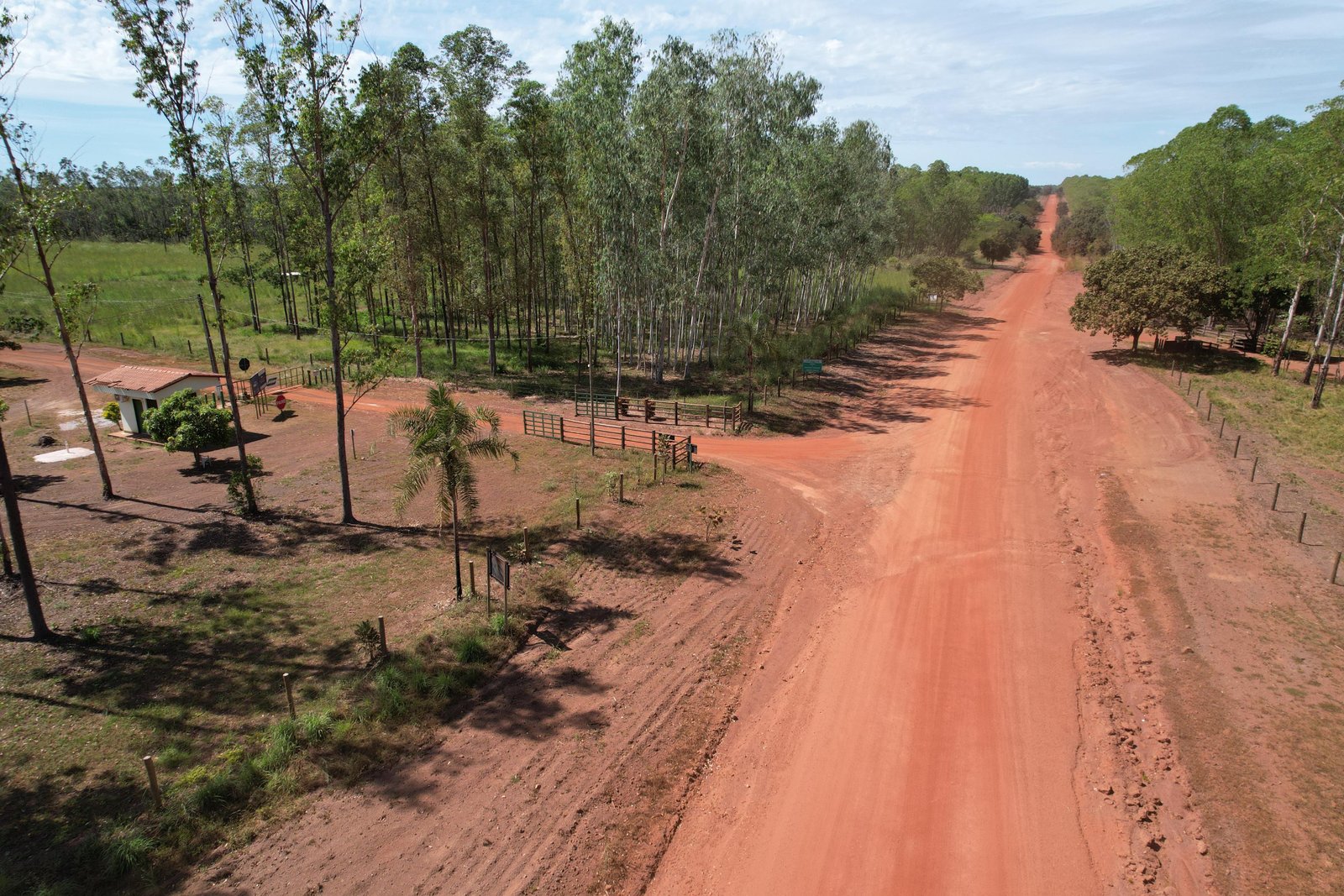 Bioética Ambiental e Responsabilidades - JAMP Brasil
