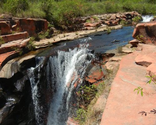 Bioética Ambiental e Responsabilidades - JAMP Brasil
