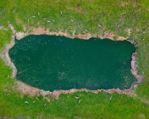 Bioética Ambiental e Responsabilidades - JAMP Brasil