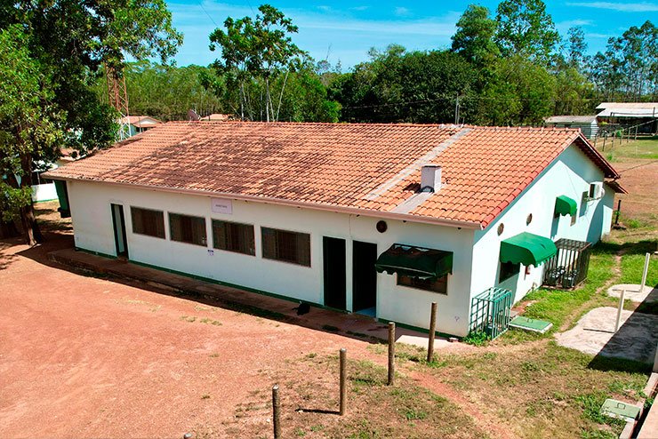 Bioética Ambiental e Responsabilidades - JAMP Brasil