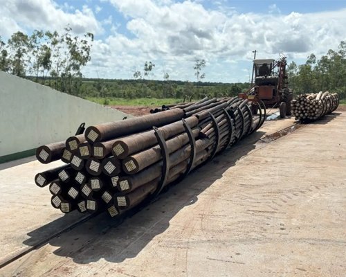 Fornecedor de Toras Tratadas em Autoclave - JAMP Brasil
